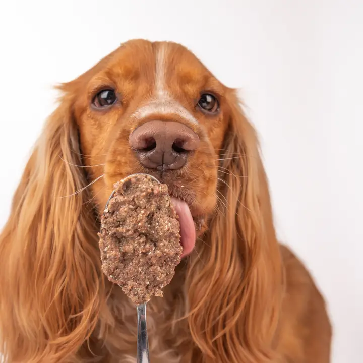 30b91e60bf6debe7ab2dbdbaf30fdeedebce04841f68f62819a7fe57b336a559