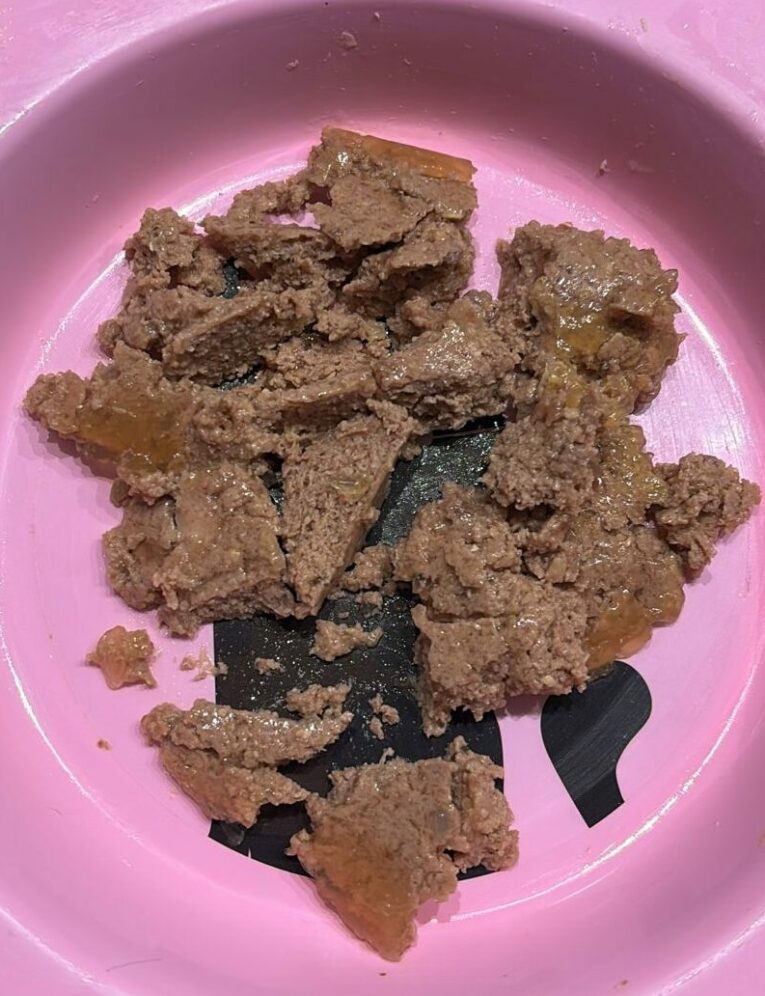 98aded81-eda6-4142-962c-d3980dd4c13b