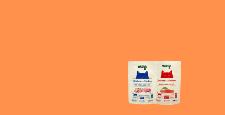 Aggiungi un titolo (1020 x 520 px) (58)